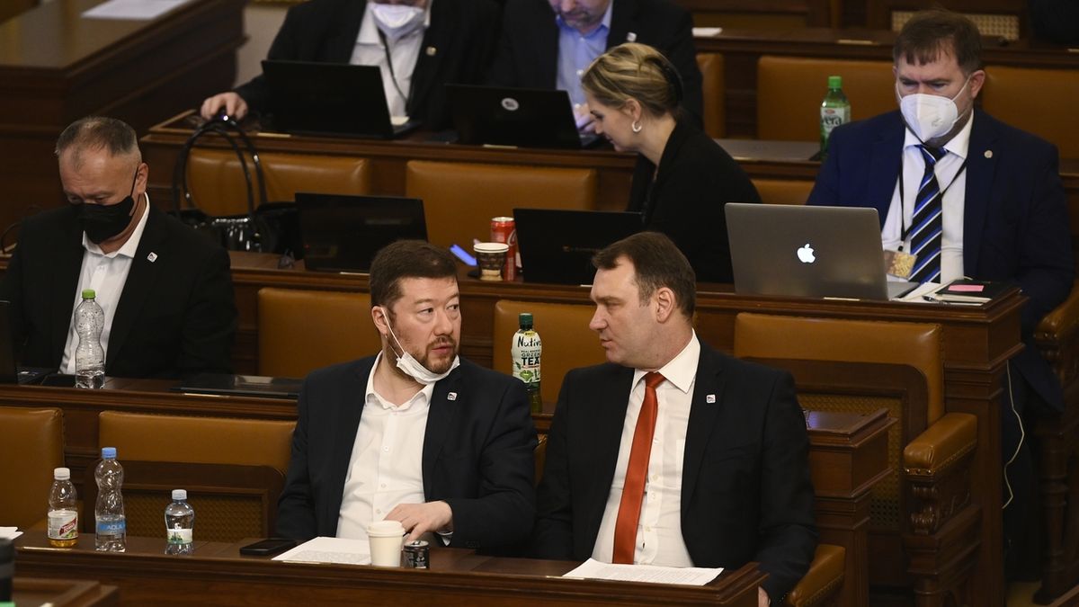 SPD hlasovala proti usnesení na podporu Ukrajiny